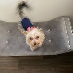 @teddy_mcclure - Instagram