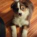 Ted McCormick - Facebook