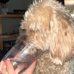 Ted - @tedrmccullough66 - Instagram