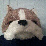 ted mcdonald - @tedmcdonalda623 - Instagram