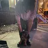 Ted - @ted.mcdonald - TikTok
