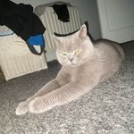 Ted - @ted_mcdonald_ - Instagram