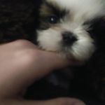 Teddy Markus McDowell - @teddythegummybear - Instagram