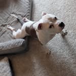 Teddy W. McDowell - @moonxcarrier - Instagram
