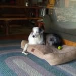 Ted McFarland - @ted.mcfarland.71 - Instagram