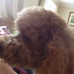 Teddy Mcfarland Mundy - @teddy_mundy - Instagram