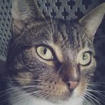 Teddy mcgill - @ted_mcgill07 - Instagram
