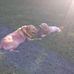 Ted McGraw - Facebook