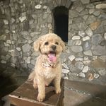 Teddy Mcgraw - @teddy_mcgraw - Instagram