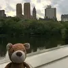Teddy McGregor - @teddymcgregor - TikTok