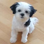 Tedi McGuire - @tedimcguire - Instagram
