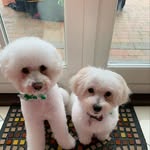 Teddy And Todd Mchugh - @ted_and_todd - Instagram