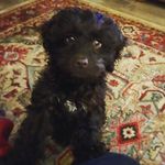 Ted McKay - @adventures.of.little.ted - Instagram