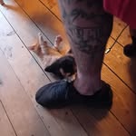 Ted Mckee - @tedmckee6969 - Instagram