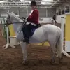 tedmckinley2 - @tedmckinley2 - TikTok