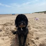 Teddy Mclean-Crombie - @teddy_mclean - Instagram