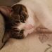 Ted Mclennan - Facebook