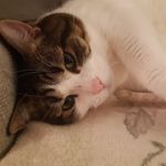 Ted Mclennan - @tedmclennan - Instagram