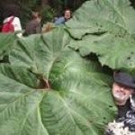 Ted Mcleod-Morris - @tedmcleodmorris - Instagram