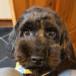 Ted McMahon - @tedmac_boreen - Instagram