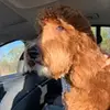 teddiemcnair - @teddiemcnair - TikTok