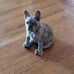 Todd McVey - Facebook