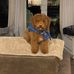 Ted Mears - Facebook