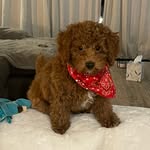 Ted - @ted.mears - Instagram