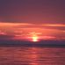 Ted Meacham - Facebook