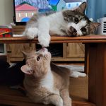 Meeks and Ted's Excellent Adventures - @meeks_and_teddy - Instagram