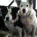 Ted Meeker - Facebook