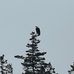 Ted Meeker - Facebook