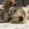 Teddy Mejia - @teddymejia11 - TikTok