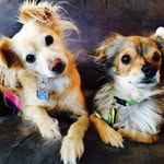Ted + Melvin - @ted_and_melvin - Instagram