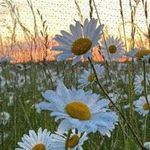 Ted Mendez - @tedmendez5583 - Instagram