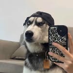 Ted Meng - @fantexi669 - Instagram
