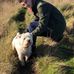Ted Mercer - Facebook