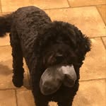 Ted Merrifield - @tedbmerrifieldpriv - Instagram