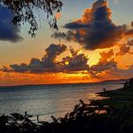Ted Merrill - @tedmerrill37 - Instagram