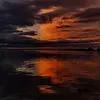 Ted Merrill - @ted.merrill5 - TikTok