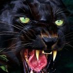 Ted Merrill - @tedmerrill1 - Instagram