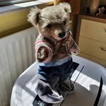 The Merry Teddies - @merryteddies - Instagram