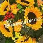 Messerte Dileone - @messertedileone - Instagram