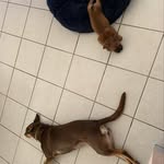Teddy Messer - @teddywillowmesser - Instagram
