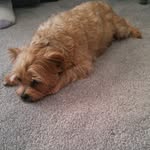 Ted master - @ted.master - Instagram