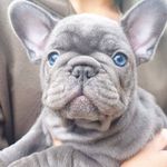 👑 Teddy Metcalf - @teddy.metcalf - Instagram