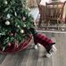 Ted Metcalf - Facebook