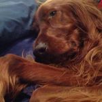 Ted Michon - @mish333 - Instagram
