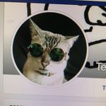 Ted Michon - @michonted - Instagram