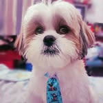 Ted Mike - @ted.mike - Instagram